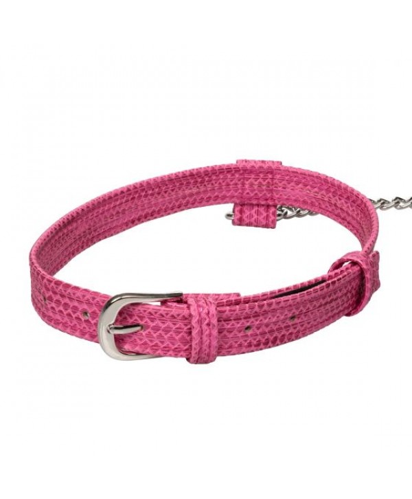 Розовый ошейник с поводком Tickle Me Pink Collar With Leash