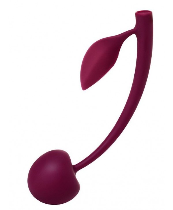 Бордовая вагинальная вишенка WILD CHERRY - 13 см.